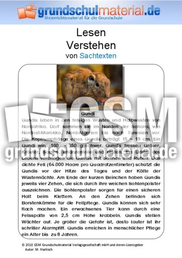 Gundi - Sachtext.pdf